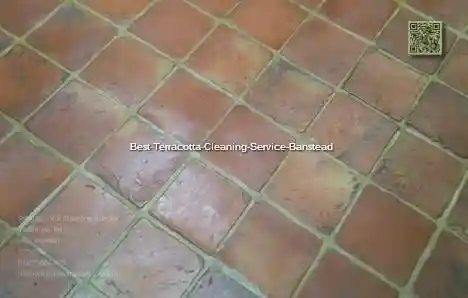 Best Terracotta Cleaning Service Banstead