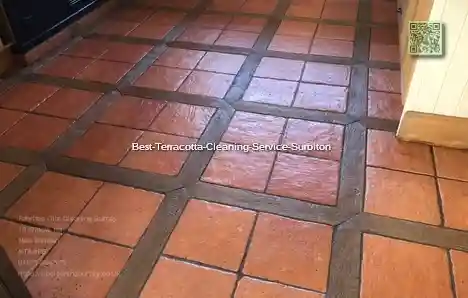 Best Terracotta Cleaning Service Surbiton