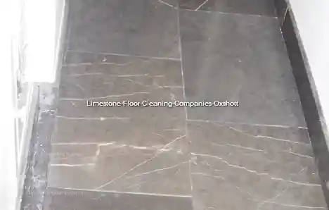 Limestone Floor Cleaning Companies Oxshott