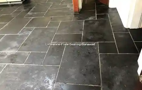 Limestone Floor Sealing Banstead