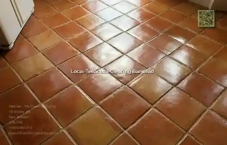 Local Terracotta Cleaning Banstead