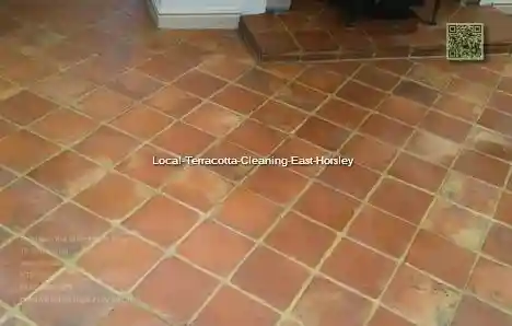Local Terracotta Cleaning East Horsley