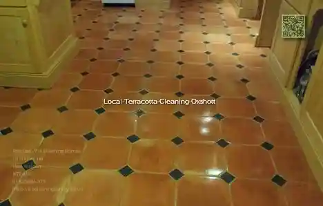 Local Terracotta Cleaning Oxshott