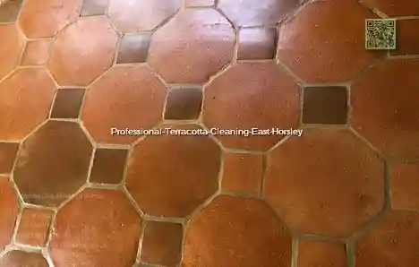Professional Terracotta Cleaning East Horsley