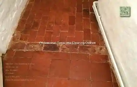 Professional Terracotta Cleaning Oxshott