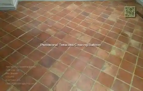 Professional Terracotta Cleaning Surbiton