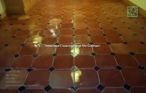 Terracotta Cleaning Near Me Cobham