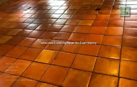 Terracotta Cleaning Near Me East Horsley