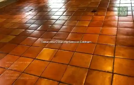 Terracotta Cleaning Service Cobham