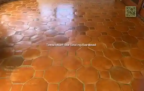 https://tcsall.s3.us-east-1.amazonaws.com/Terracotta-Floor-Sealing-Banstead.webp