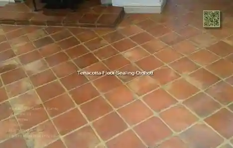 https://tcsall.s3.us-east-1.amazonaws.com/Terracotta-Floor-Sealing-Oxshott.webp