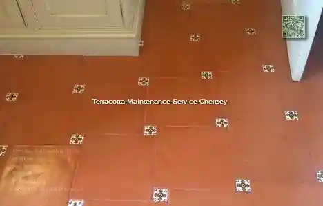 Terracotta Maintenance Service Chertsey
