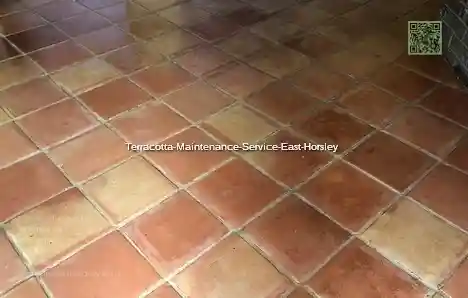 Terracotta Maintenance Service East Horsley