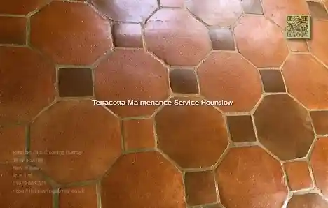 Terracotta Maintenance Service Hounslow
