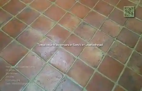 Terracotta Maintenance Service Leatherhead