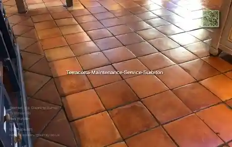 Terracotta Maintenance Service Surbiton