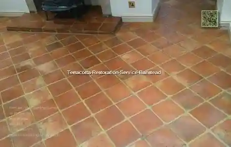 Terracotta Restoration Service Banstead