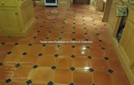 Terracotta Restoration Service Surbiton