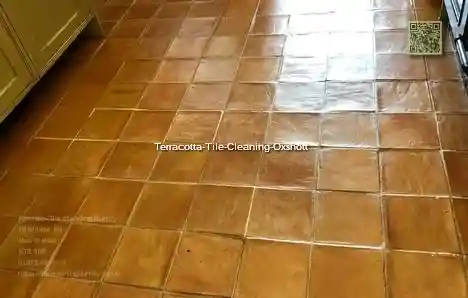 Terracotta Tile Cleaning Oxshott