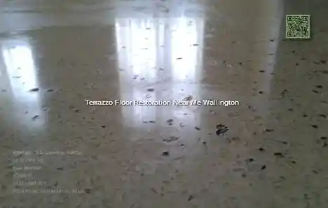 Terrazzo Floor Restoration Near Me Wallington