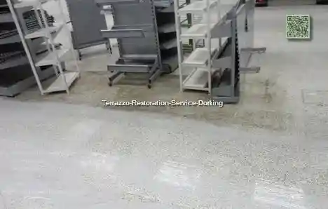 https://tcsall.s3.us-east-1.amazonaws.com/Terrazzo-Restoration-Service-Dorking.webp